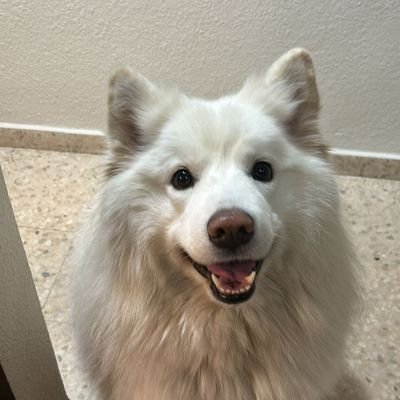 Maryan50574247's profile picture. 