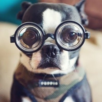 TPlatt78006's profile picture. 