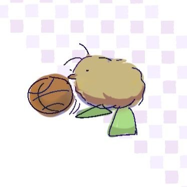 rpfeilgt's profile picture. 20↑ VIE/ENG OK