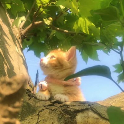 heroML9620's profile picture. no longer active. plz unfollowed