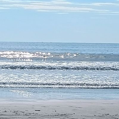 gooberinvention's profile picture. french revolution