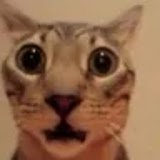 originalslash's profile picture. i make stupid stuff that no one uses soundmap: Backslash everything i post is most likely satire, please dont take anything serious