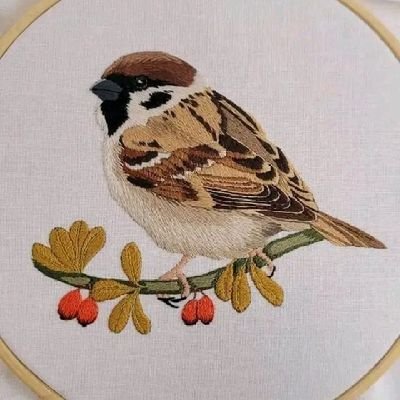 دريځ ـ په افغانستان کې هر ډول وسلوال فعاليت د زغم وړ نه ده ـ د يووالى ورورولۍ او اقتصادى پرمختګ ملاتړۍ يم ـ