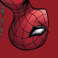 Spidey Profile