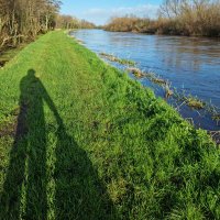 respecting nature (@roriain) 's Twitter Profile Photo respecting nature (@roriain) 's Twitter Profile Photo
