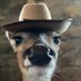 Zach Cranford (@zachcranford) Twitter profile photo Zach Cranford (@zachcranford) Twitter profile photo