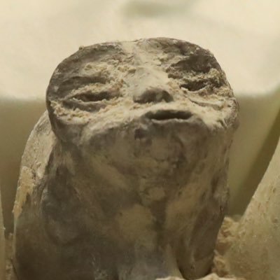 addictionJ45's profile picture. nope not for you. 24