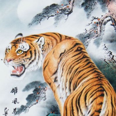 MNBN777's profile picture. 