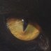 CatEye ४🥀 (@cateyeswatchyou) Twitter profile photo CatEye ४🥀 (@cateyeswatchyou) Twitter profile photo