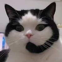 (g)ginger 🎨🌷 (@dayslilili) 's Twitter Profile Photo