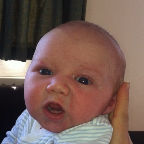 nickbuds's profile picture. 