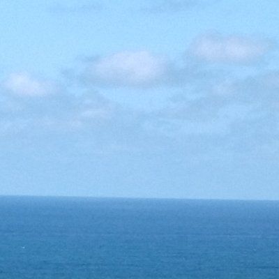 KagiNemu's profile picture. 見たり描いたり呟いたり