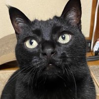 tett_k2 (@tett_k2) 's Twitter Profile Photo tett_k2 (@tett_k2) 's Twitter Profile Photo