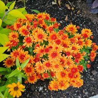 Xtherealthruth (@xtherealthruth) 's Twitter Profile