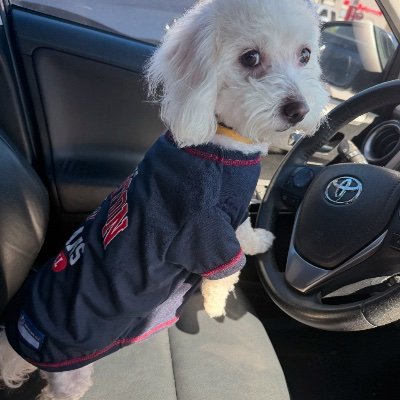 HitdiffJt71530's profile picture. 