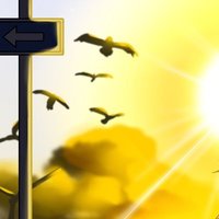 ゆき (@yuki2you_) Twitter profile photo