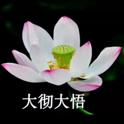 ShenSiEastern's profile picture. 灵魂的律动，空灵的优雅，若有若无的神秘，是真是假
