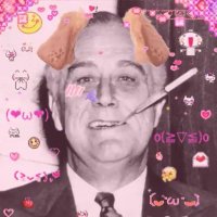 FDR fan (@p01932_1) 's Twitter Profile