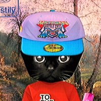 jordan kitty (@joraweb3) 's Twitter Profile