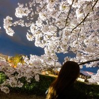 かななん∀★ (@k_a_n_a_o0) 's Twitter Profile Photo かななん∀★ (@k_a_n_a_o0) 's Twitter Profile Photo