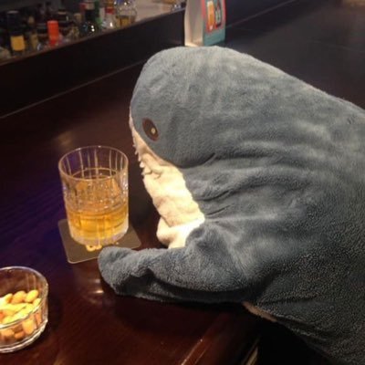 snottymorty's profile picture. you can always start over