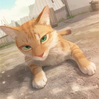 币圈韭菜貓—BTC foever (@crypto_meowww) 's Twitter Profile