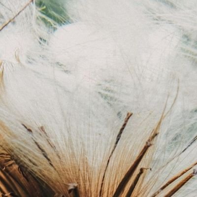 kjd38jkko's profile picture. 