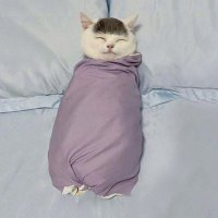 เรียกผมว่าคุณ (@chinchanzzo) 's Twitter Profile Photo เรียกผมว่าคุณ (@chinchanzzo) 's Twitter Profile Photo