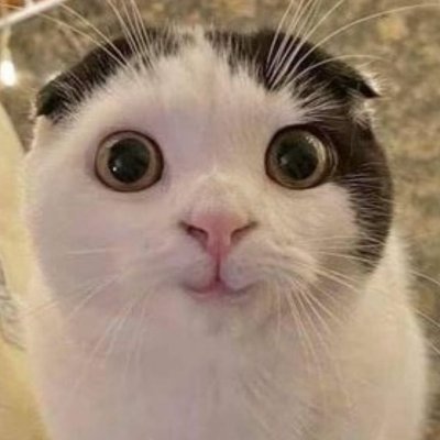 cx7here's profile picture. Arch Linux user (btw), struggling Unity dev. I casually build websites for small businesses, products. 
Join my Discord: https://t.co/NzSvgdGVvn