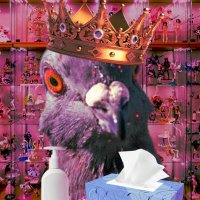 Pigeon | Goon King (@thepigeonshowtv) 's Twitter Profile Photo Pigeon | Goon King (@thepigeonshowtv) 's Twitter Profile Photo