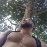 Felipe Diamont (@diamontfelipe8) 's Twitter Profile