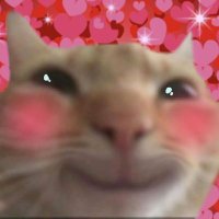 mention after dm! (@hanikkyu) 's Twitter Profile Photo mention after dm! (@hanikkyu) 's Twitter Profile Photo