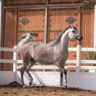 ليس هناك من يمسح دموعك سوى يديك وليس هناك من يحقق نجاحك بعد الله سوى عقلك ويديك
