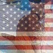 Lover of all bakery products! Critter rescuer
#OPLive, #BacktheBlue, 🐱🐾🐢🦝. #DonotComply #ProudAmerican #Patriot🇺🇸🇺🇸 ATF 🧩