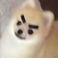 밍!! (@worldismywords) 's Twitter Profile Photo 밍!! (@worldismywords) 's Twitter Profile Photo
