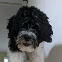 Ahabcaptain βπ (@nedmcpheely) 's Twitter Profile