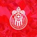 metralletabravo (@metralletabravo) Twitter profile photo metralletabravo (@metralletabravo) Twitter profile photo