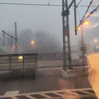 pilsenertut's profile picture. 