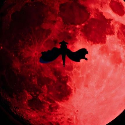 DN0ice's profile picture. If Pain is beauty , I'm Pretty Bitch