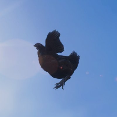 fekumu's profile picture. くみや@kumu16esoのDD2用。主従大好きメポ覚命
ポーンID(steam版) : U0WPAA0ML19V　フレコ：349347715
サブアカポーンID(steam版) : 3R9INBBK5S4N　フレコ：1717181349