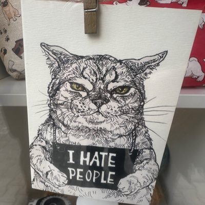 Vachi33's profile picture. Just a smart tall guy