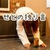 せと (@lr_seto) Twitter profile photo せと (@lr_seto) Twitter profile photo