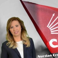 Nurdan Erdiş (@nurdanerdis) 's Twitter Profile
