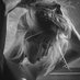 alice.xanthia_Magissa (@aggelaki19) Twitter profile photo alice.xanthia_Magissa (@aggelaki19) Twitter profile photo