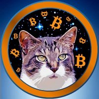 hodlcat āæ (@hodlcat21) 's Twitter Profile Photo hodlcat āæ (@hodlcat21) 's Twitter Profile Photo