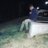 SynfuL03's profile image