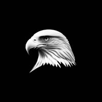 Tai (@realtinno) 's Twitter Profile Photo