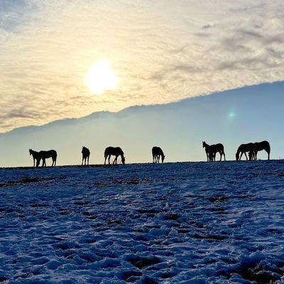 sweepsweep38957's profile picture. 🧹🧹🧹