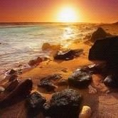 vsog99's profile picture. 専業になって一年越え。
現在、兼業に戻って今後を模索中。
勝ち組トレーダーに俺はなる😠
現在は日本株のみです。
呟くよりも玄人のtweetを覗き見するアカウント。