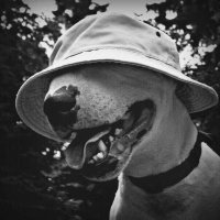 jeke maan (@notyourcupofjay) 's Twitter Profile Photo